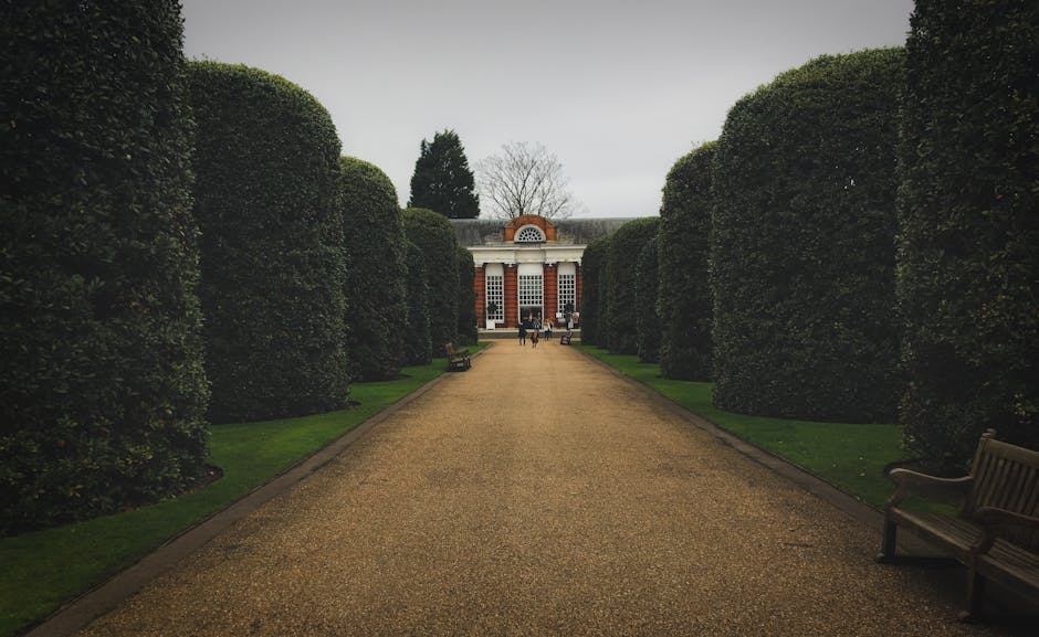 A wide, straight gravel pathway leads towards a historic building with a red brick facade and white architectural details, situated at the end of the path. Flanking both sides of the walkway, tall and neatly trimmed dark green hedges create a corridor-like appearance, leading the eye directly to the building. On the gravel surface, a few people are visible near the entrance, some standing and others walking, suggesting a visitor area or park setting. To the right, a wooden bench is positioned along the hedge, providing seating for visitors. The background features overcast grey skies, with some leafless trees visible beyond the hedges, indicating a late autumn or winter season. The foreground shows a clean, well-maintained gravel path with a subtle texture, framed by a narrow strip of green grass. The scene exudes a quiet, orderly environment typical of a maintained garden or park area, which might be serviced by private waste removal companies such as Rubbish Removal Kensington for maintaining cleanliness and waste management in such public outdoor spaces.