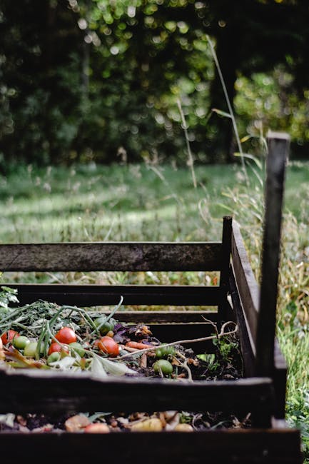 A wooden compost bin positioned outdoors on a grassy area, filled with organic waste including cherry tomatoes, vegetable peels, and plant debris, with its dark brown, weathered wood texture visible. The bin is partially open, revealing the mixed compost materials inside. Surrounding the bin is a lush, green environment with tall grass and blurred leafy trees in the background, suggesting a garden setting. The lighting appears natural, indicating daylight, and the scene reflects an area designated for garden waste collection and composting, often handled through independent waste removal services such as Rubbish Removal Kensington, instead of city municipal collection. The overall scene emphasizes on-site organic waste management as part of eco-friendly garden maintenance practices, aligned with alternative rubbish handling solutions.